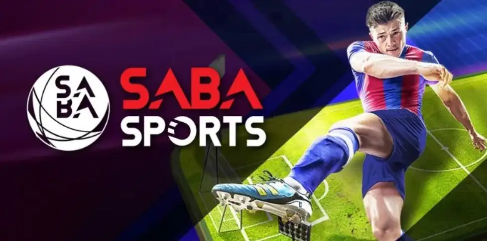 Valuable advice for newbies at JLPH Saba sports